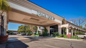 Отель Best Western Plus Black Oak  Paso Robles